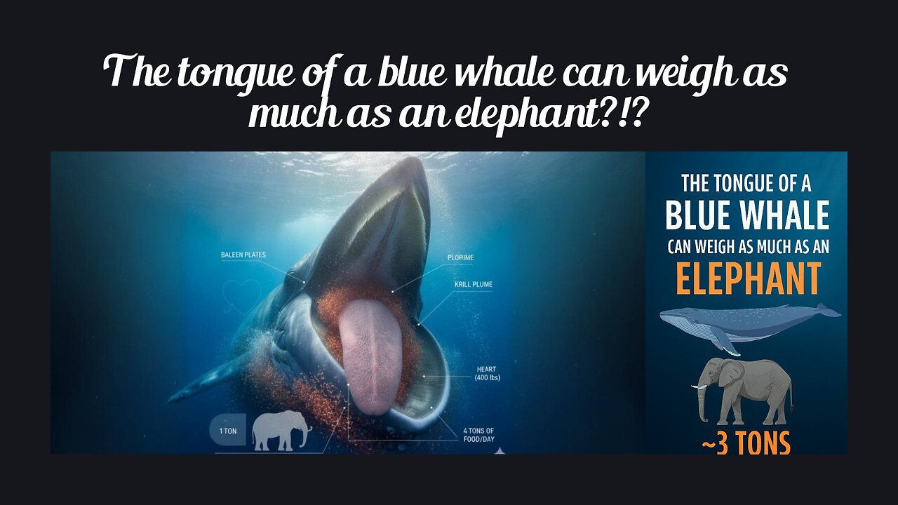 Fun Fact for Oct 3rd 2025 Pt 2