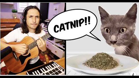 The Kiffness - Doing Catnip Again (Singing Cat Song)