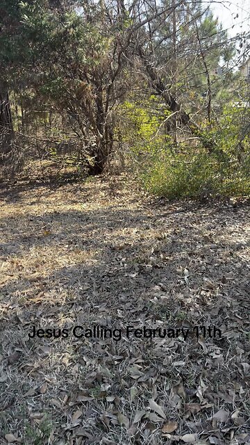 Jesus Calling February 11th!