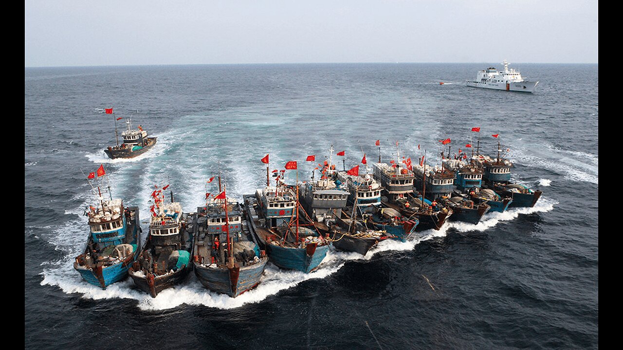 China's Environmental Disaster: Slave Fishing Vessels & Mass Killing of Sharks for a Soup