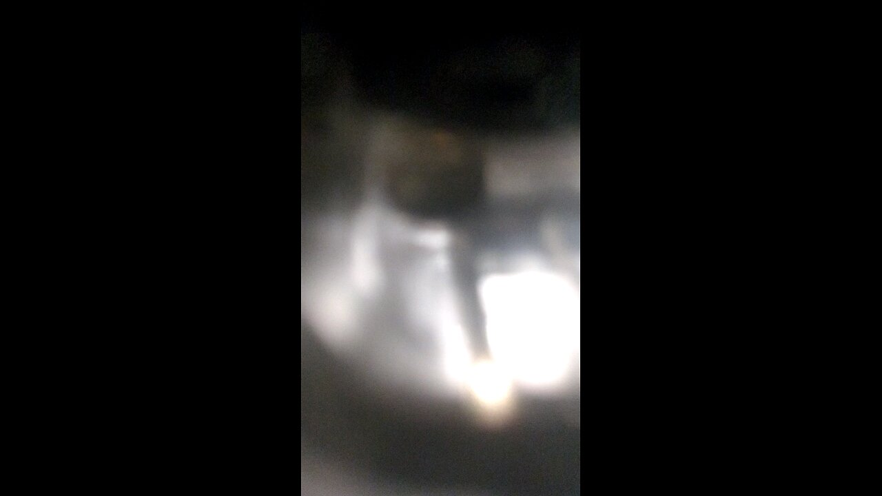 Think I'll have my self a Reel big fish