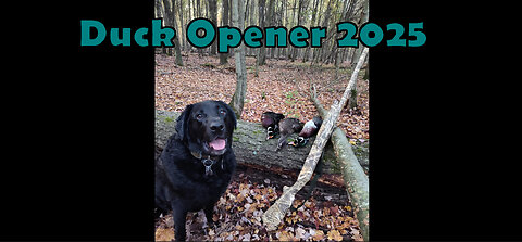 Duck Opener 2025