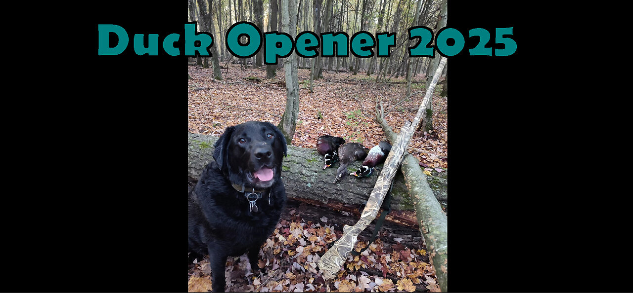 Duck Opener 2025