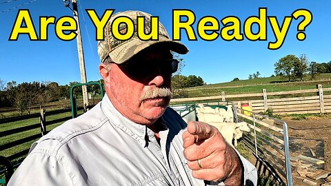 Sheep Breeding Groups