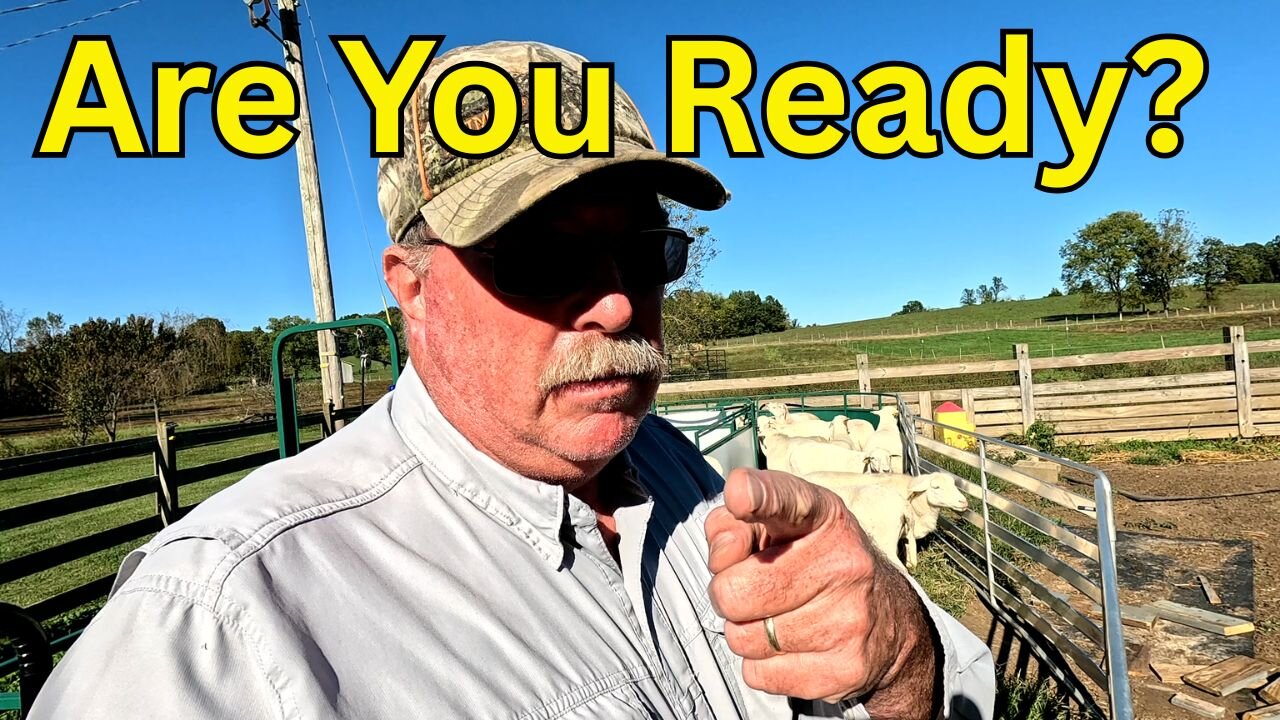 Sheep Breeding Groups