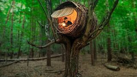 Building a Warm & Cozy Bushcraft NEST Treehouse