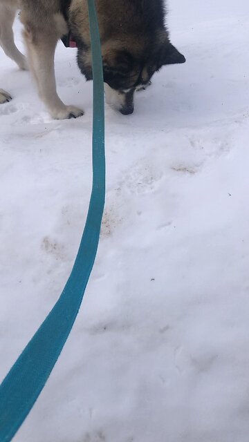 Saturday March 1, Live a life worthy of your calling