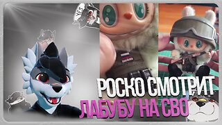 🐺 Роско смотрит как Лабубу подготовили к СВО