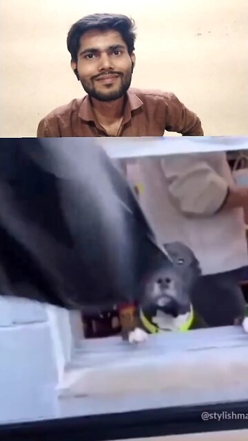 bhaichara on the top