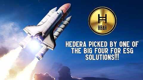 Hedera Picked By One Of The BIG 4 For ESG Solutions!!!