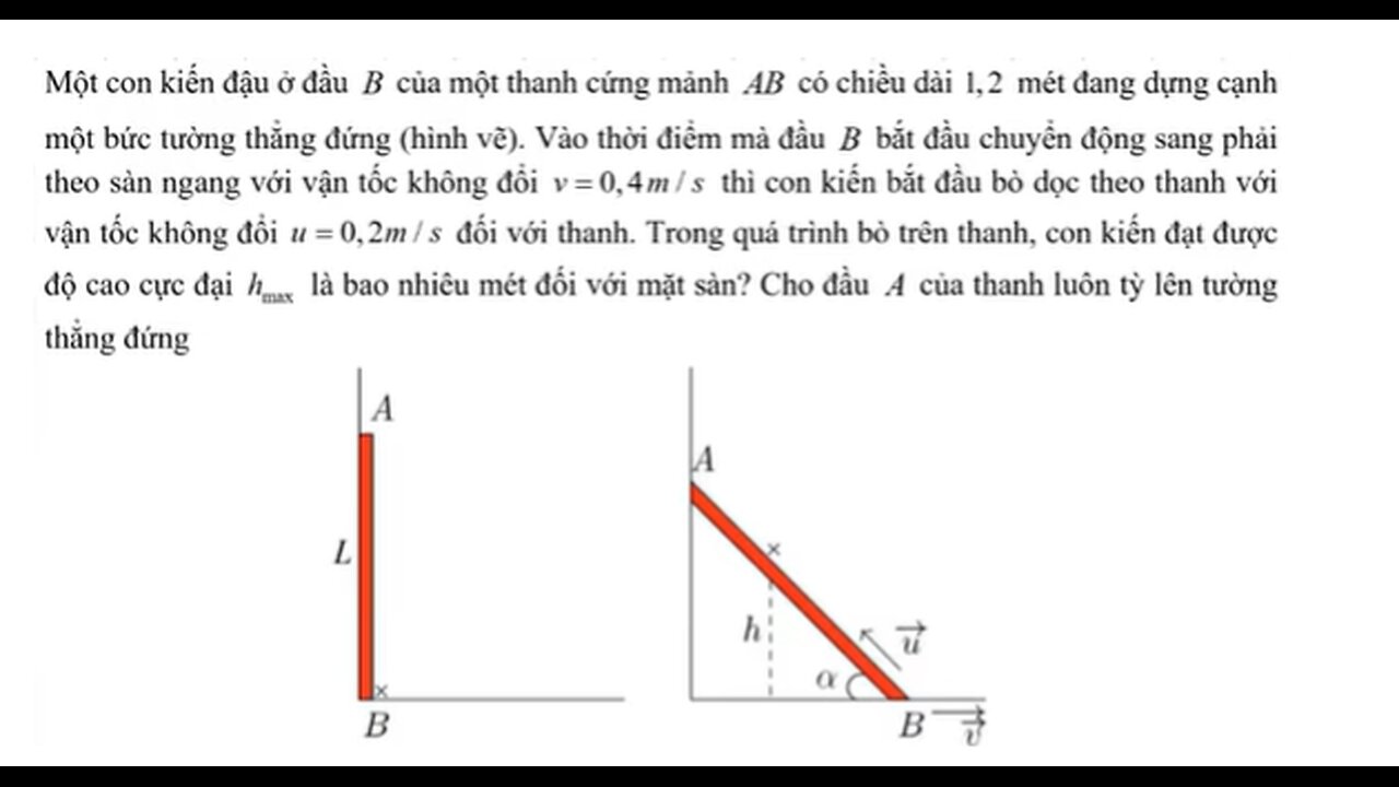 Toán 11: Đạo hàm: Một con kiến đậu ở đầu \(B\) của một thanh cứng mảnh AB có chiều dài 1,2 mét