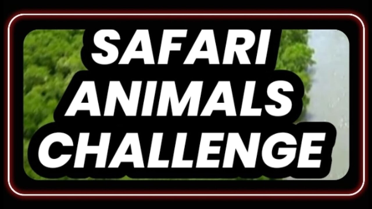 Safari Animals Challenge