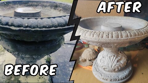 DIY Bird Bath Restoration: To Add Cement or Not? 🐦✨