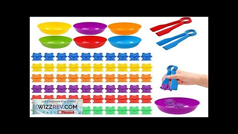 Counting Bears Matching Games Color Sorting Bowls Tweezers Preschool Learning Education Review