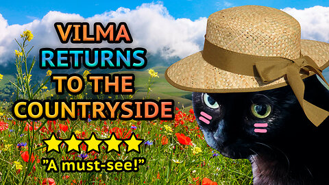 Vilma Cat Returns To The Countryside After Renovation