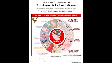 After Decades of Government Agency Delay, Independent Report Finds Vaccination-Autism Link