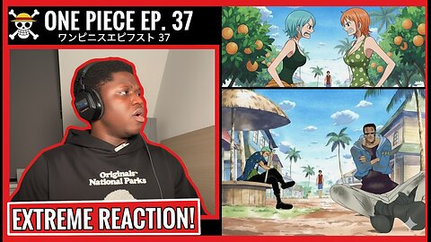 One Piece Episode 37 | Luffy Rises! Nami’s Negotiation Result | Reaction