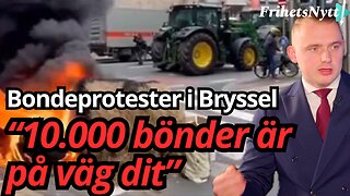 Svenska bönder ska ner till Bryssel för att protestera mot EU