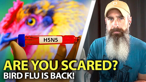 They Are Trying To Scare You - H5N5 Flocks!