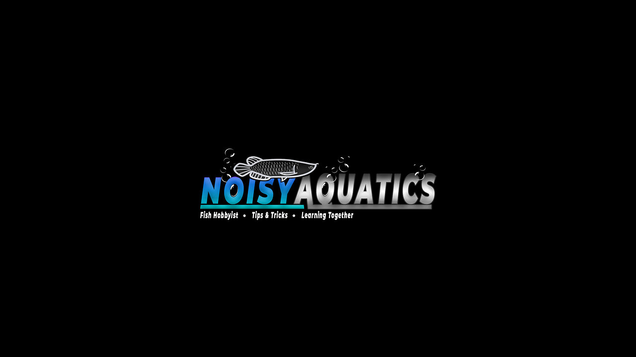 Aquatic Hobbyist Live Stream