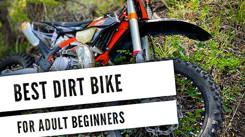 Best Beginner Dirt Bikes For Adults and How to Choose One