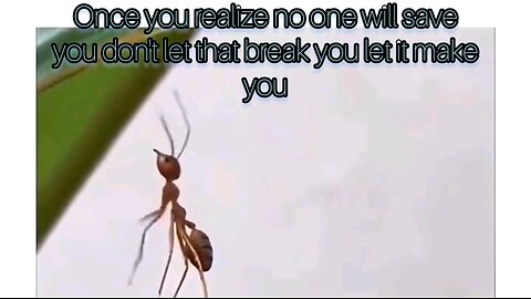 Cold hard truth about life