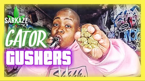 gator gushers 🐊💦 jk distro strain review 🌿🔥 | sweet, potent, & packed with flavor!