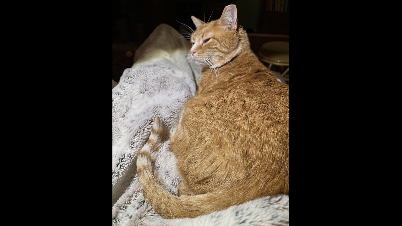 Episode 3036 CWSA 12/04/25