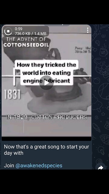 Documentary: Engine Lubricant and Food