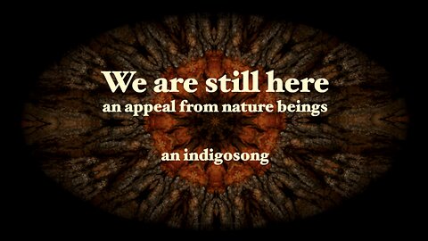 We are still here - an appeal from Nature Beings - Indigosong