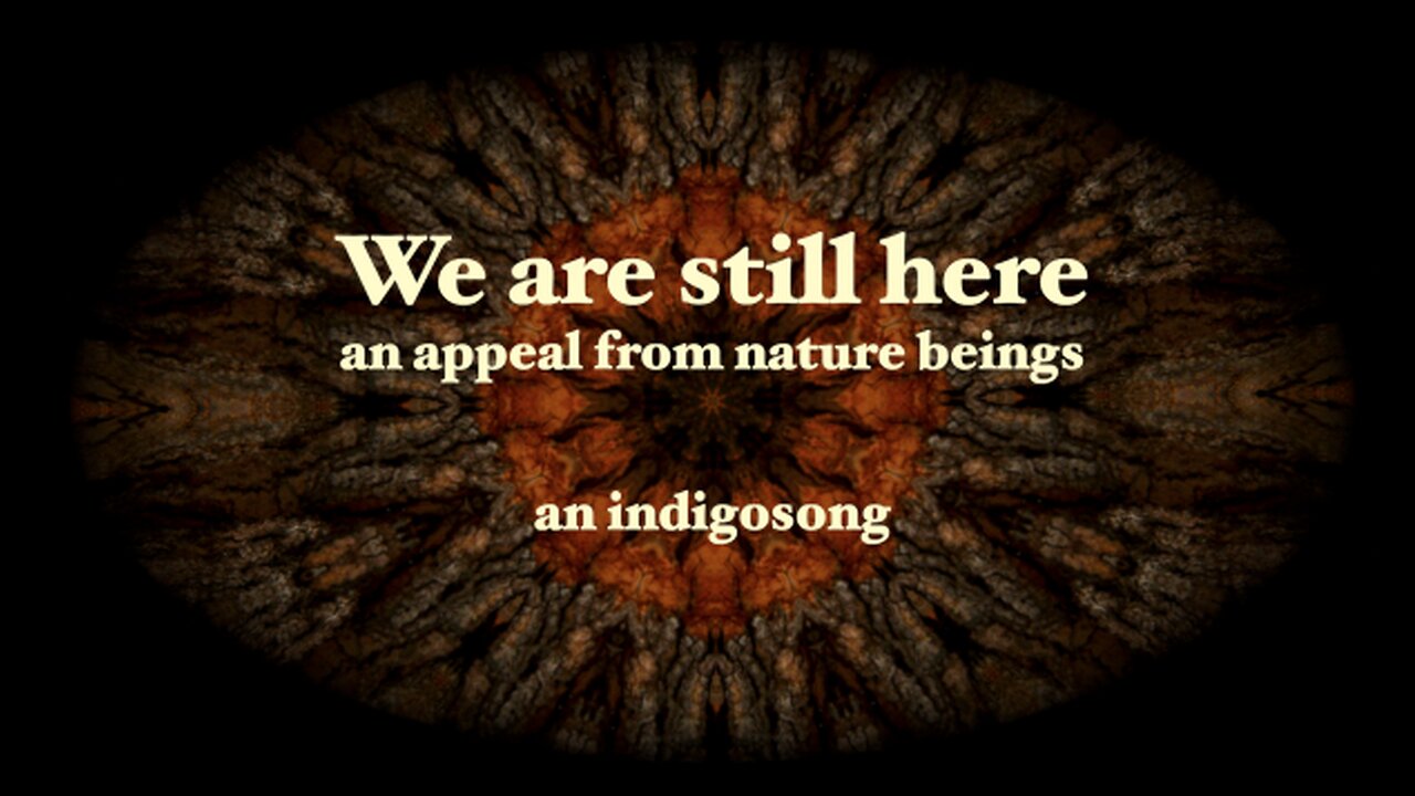 We are still here - an appeal from Nature Beings - Indigosong