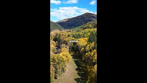 Aspen Colorado Travel Guide: Best Things to Do In 2026