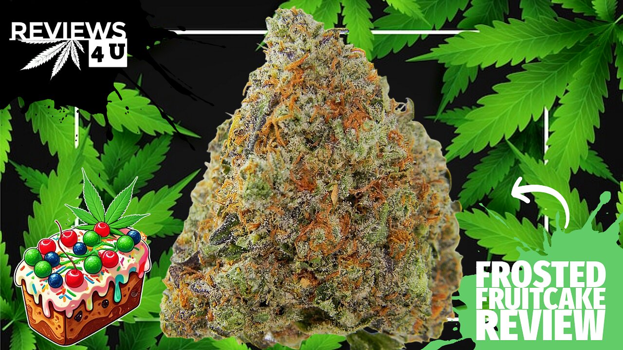 FROSTED FRUITCAKE STRAIN REVIEW | REVIEWS 4 U