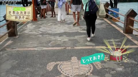 世界ふれあい街歩き 神々の島 バリ島デンパサール〜インドネシア〜