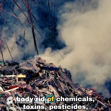 𝗟𝗼𝗼𝗸𝗶𝗻𝗴 𝗳𝗼𝗿 𝗮 𝗡𝗮𝘁𝘂𝗿𝗮𝗹 𝗪𝗮𝘆 𝘁𝗼 𝗗𝗲𝘁𝗼𝘅 𝗬𝗼𝘂𝗿 𝗦𝗸𝗶𝗻?👀𝙈𝙞𝙙𝙣𝙞𝙜𝙝𝙩 𝙈𝙞𝙣𝙚𝙧𝙖𝙡𝙨🌿