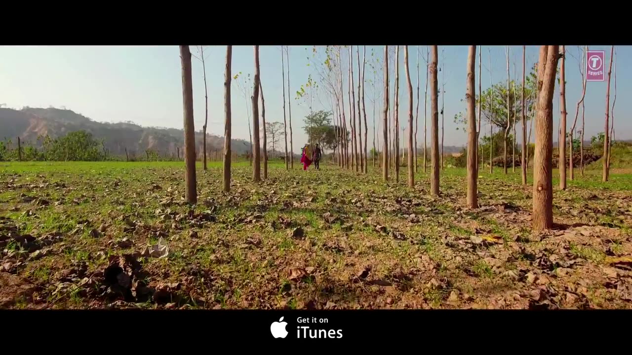 Laung Laachi