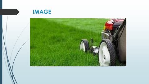 Best Garden Maintenance in Tweed Heads South