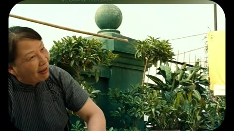 Học tiếng Trung qua phim ảnh - Tự Học Tiếng Trung - tuhoctiengtrung.vn