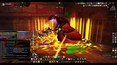 Turtle Wow - MM weekly BWL - 20 February - Paladin POV - no commentary