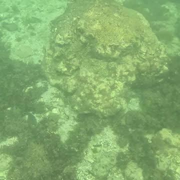 Any Day Snorkeling Is A Good Day!!