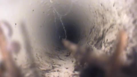 Basedrain Camera