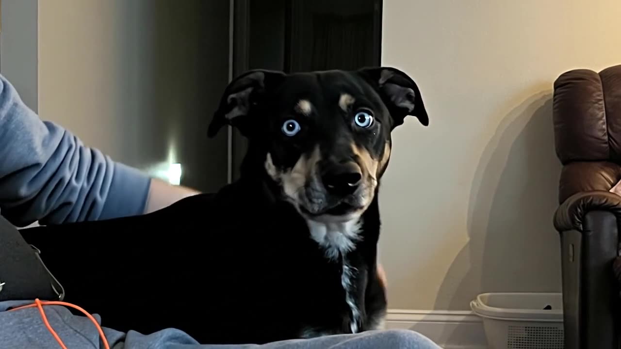 😂📺 He's Watching TV... I Hope This is Allowed! | FunFM
