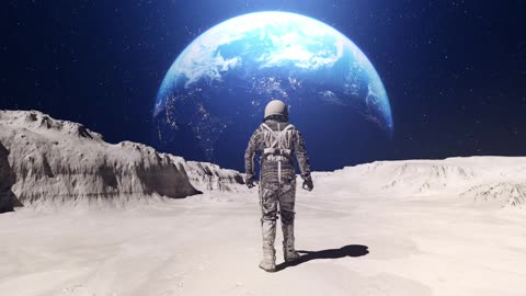 Misinfo Records - Drum And Base