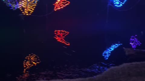 The MAGICAL Christmas Lights of Chickasha! 🎄 | Festival of Light 2025