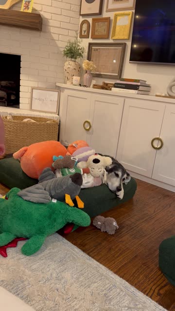 Daughter Buries Dog In Stuffies