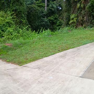 14.10.2025 Kuranda Skate Park