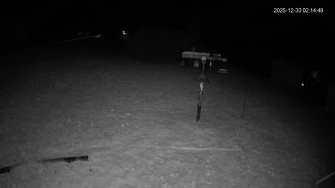 Bird Feeder in Western Maryland USA