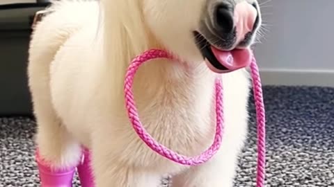 ✨🔧 Fix a Leaky Faucet in Minutes With This DIY Trick! | LifeHacksDaily