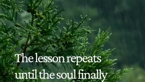 Life will keep testing you… until you finally learn the lesson