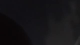 Predador: Terras Selvagens 1